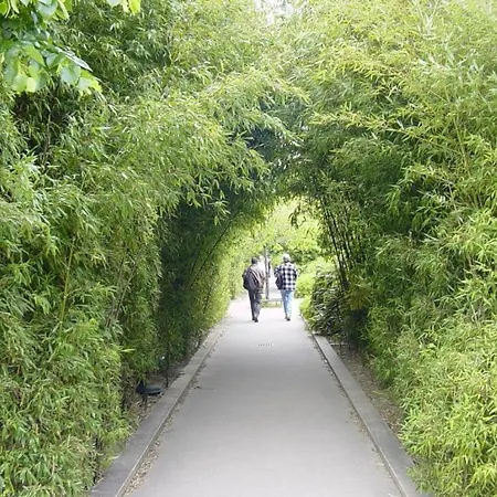 Quiet And Comfortable In 公寓